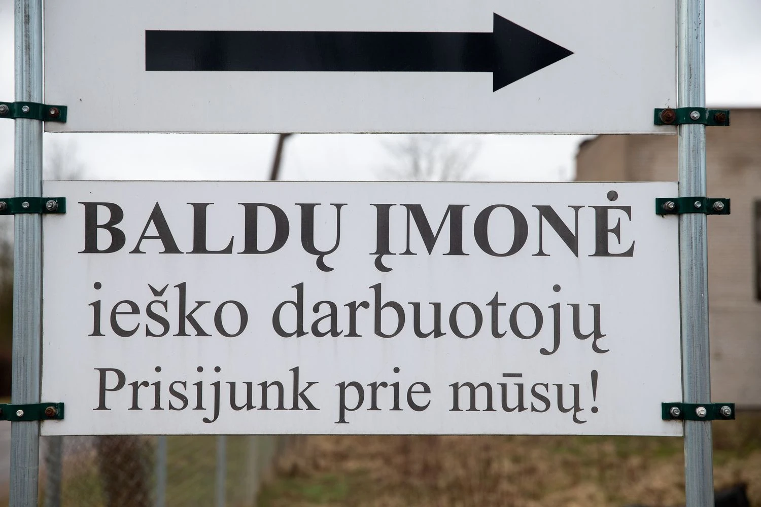  Vladimiro Ivanovo (VŽ) nuotr.