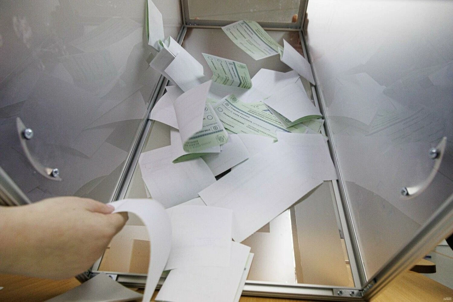 Vladimiro Ivanovo (VŽ) nuotr.