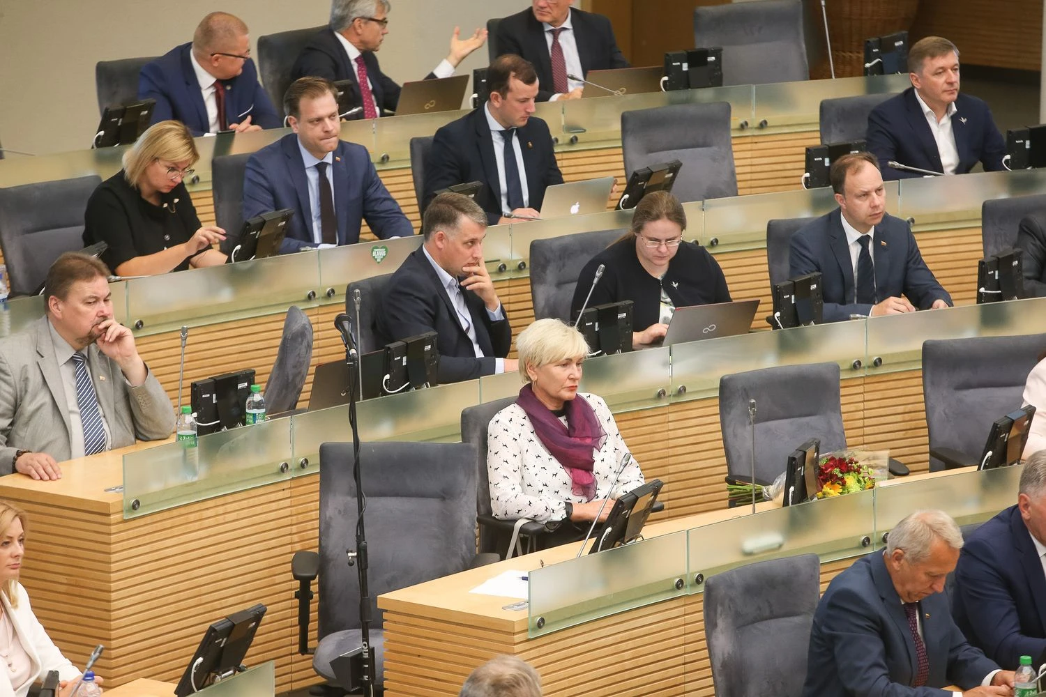 Vladimiro Ivanovo (VŽ) nuotr.