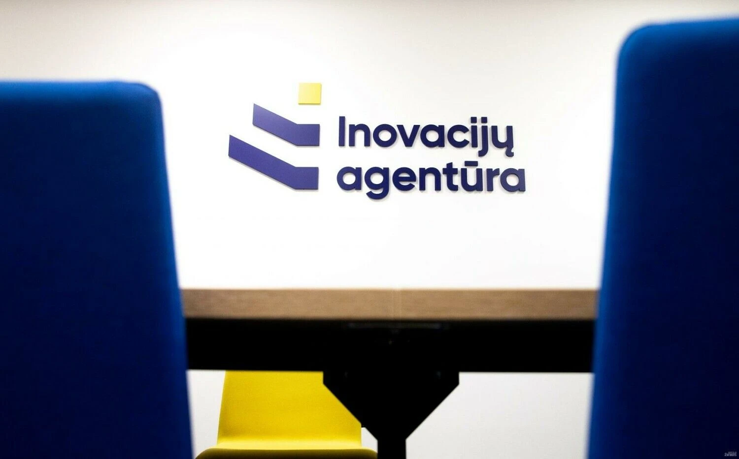 Juditos Grigelytės (VŽ) nuotr.