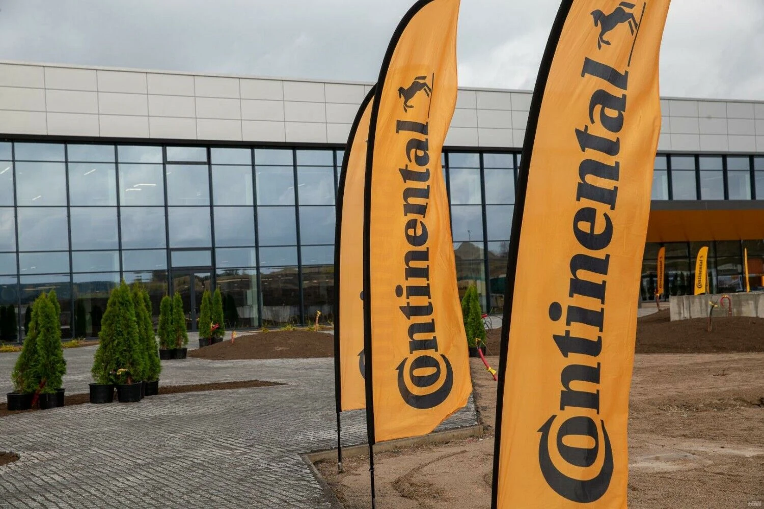 Vladimiro Ivanovo (VŽ) nuotr.