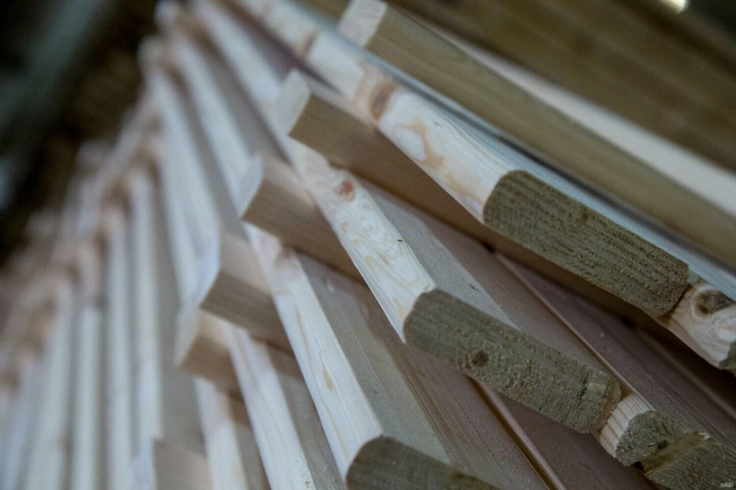 Vladimiro Ivanovo (VŽ) nuotr.