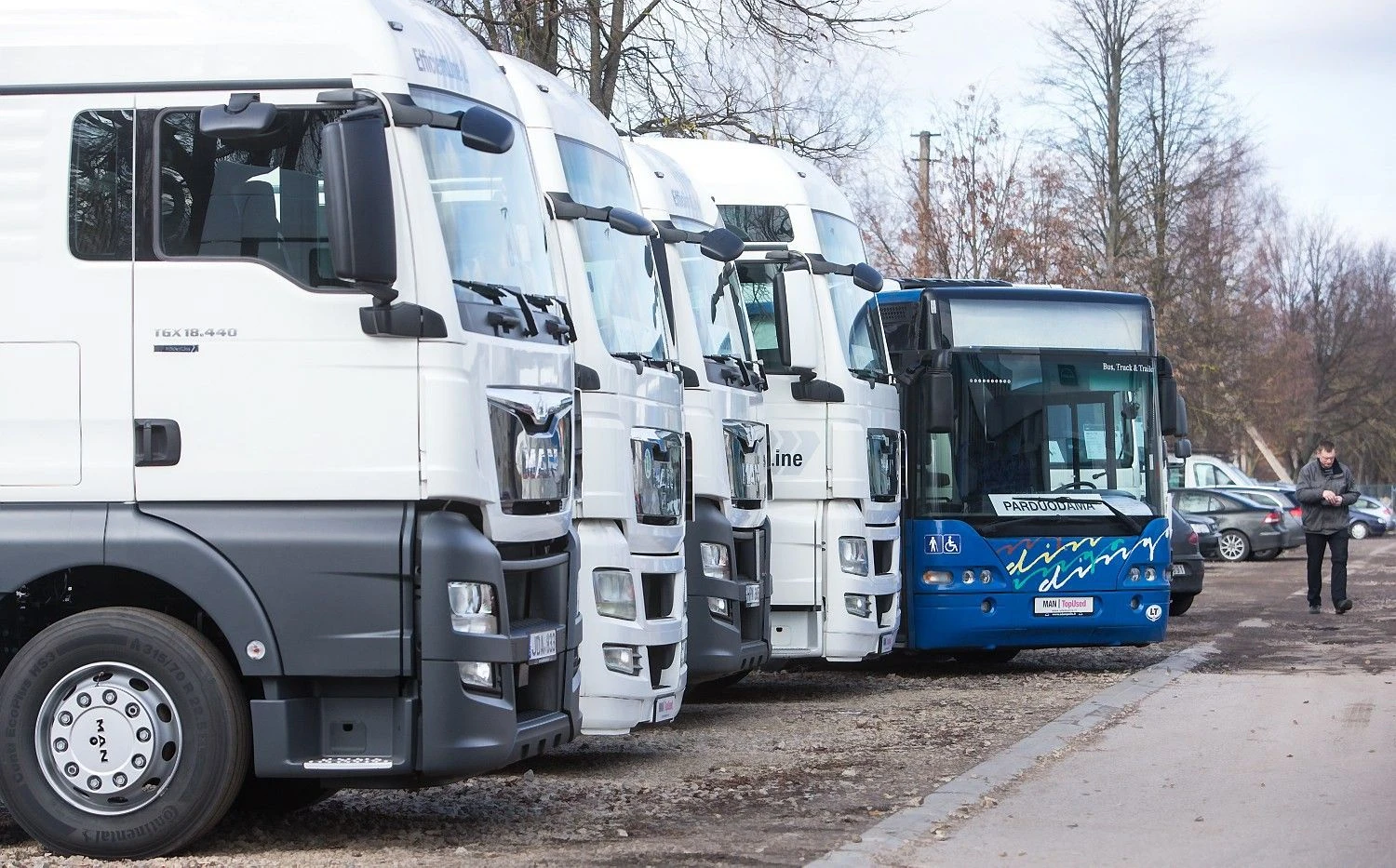 Vilkikai. Juditos Grigelytės (VŽ) nuotr.