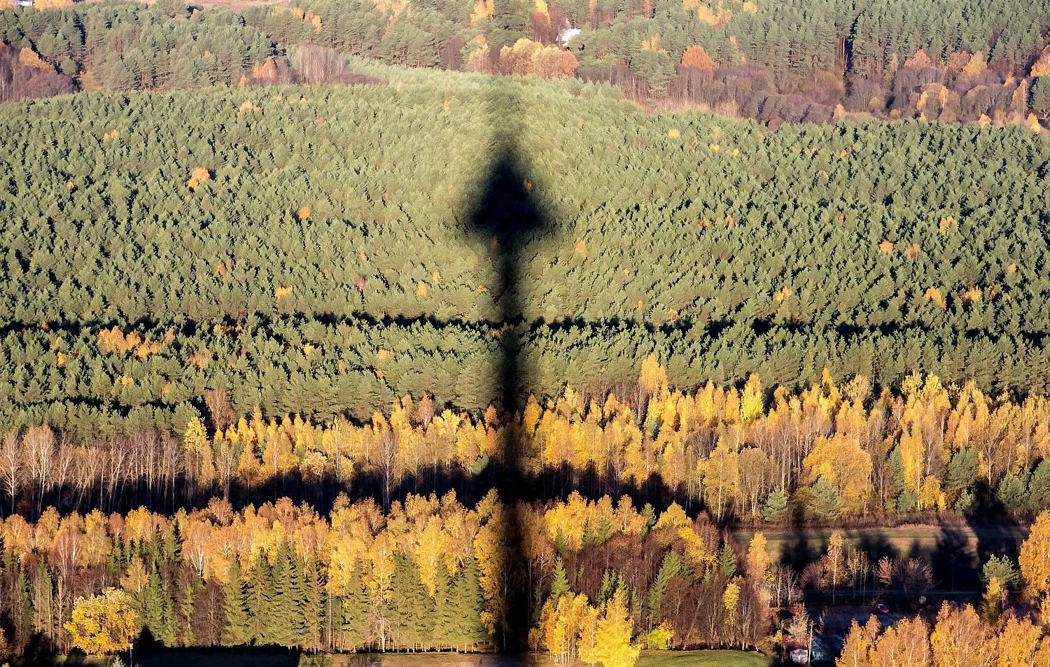 Juditos Grigelytės (VŽ) nuotr.