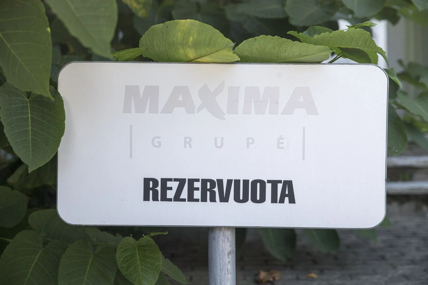 Vladimiro Ivanovo (VŽ) nuotr.