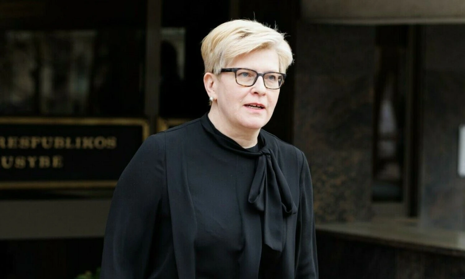 Vladimiro Ivanovo (VŽ) nuotr.