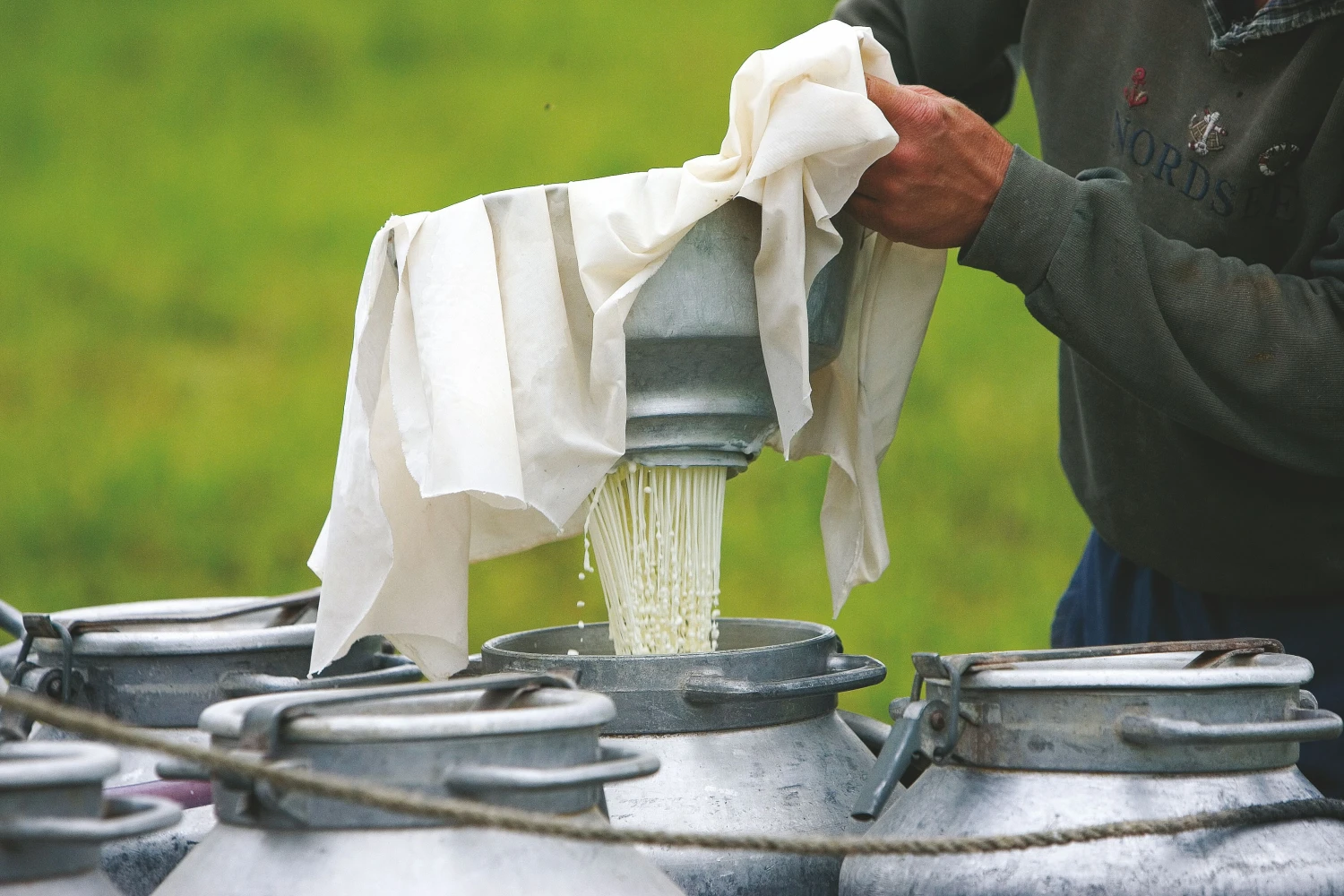  
Juditos Grigelytės (VŽ) nuotr.