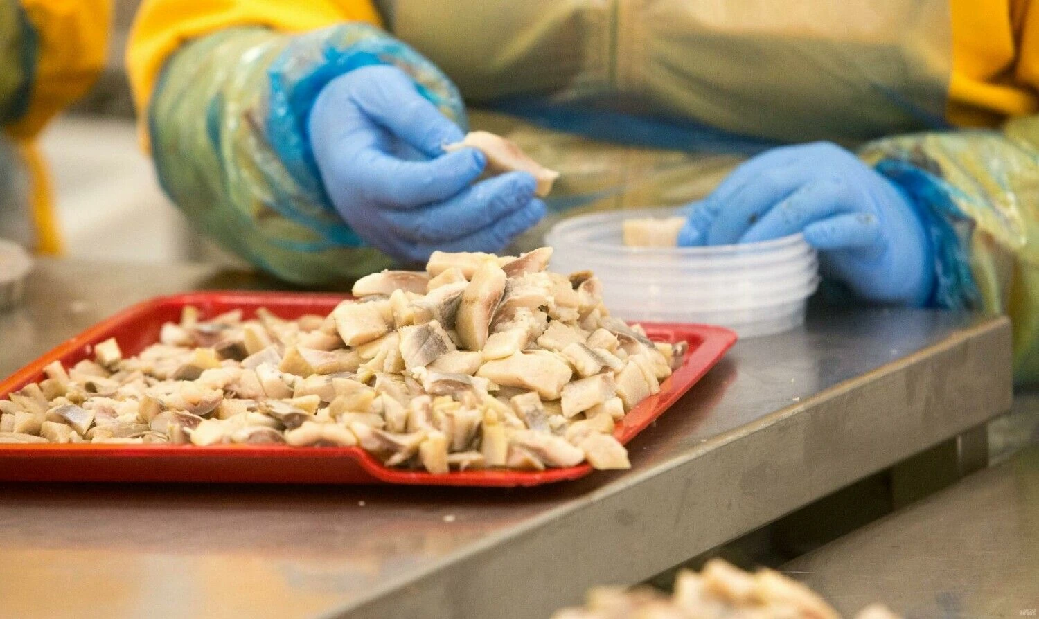 „Juditos Grigelytės (VŽ) nuotr.