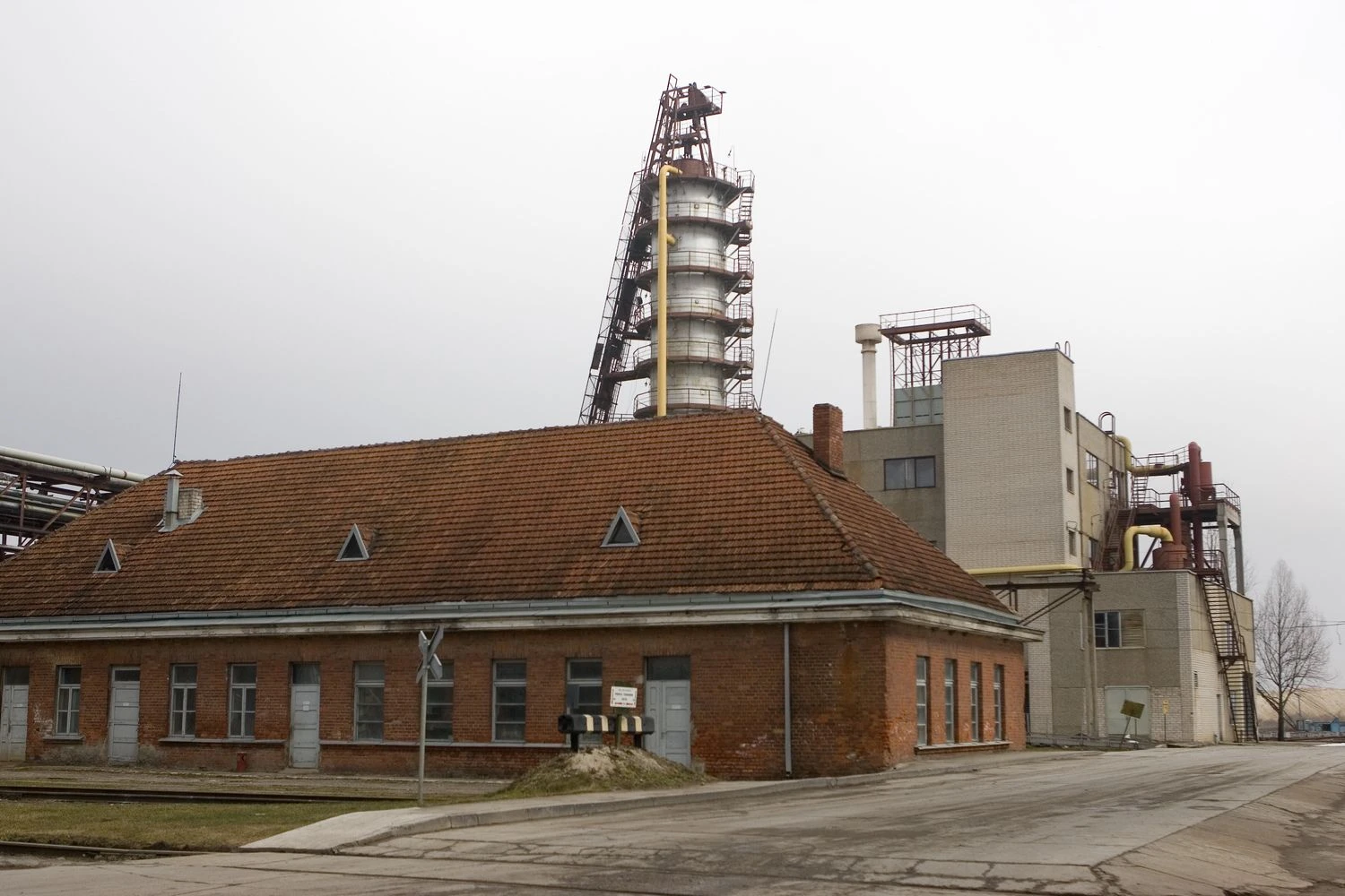 Juditos Grigelytės (VŽ) nuotr.