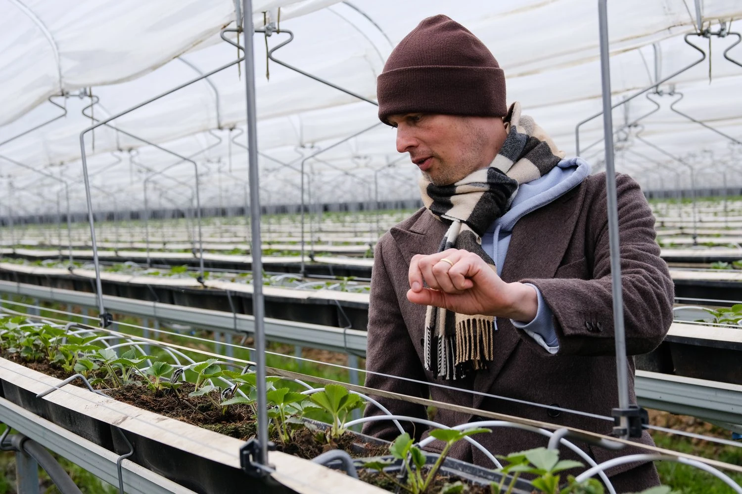 Vykintas Misiūnas, UAB „Dehidra“ direktorius ir bendraturtis. Vladimiro Ivanovo (VŽ) nuotr.