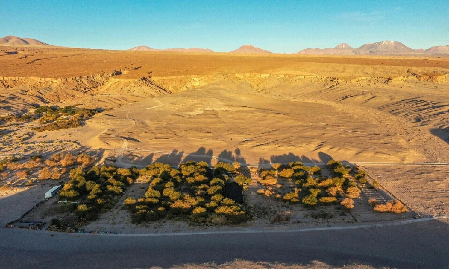 „Chajnantor“, vienas novatoriškiausių vynuogynų Atakamoje. Martino Bernetti / AFP nuotr.