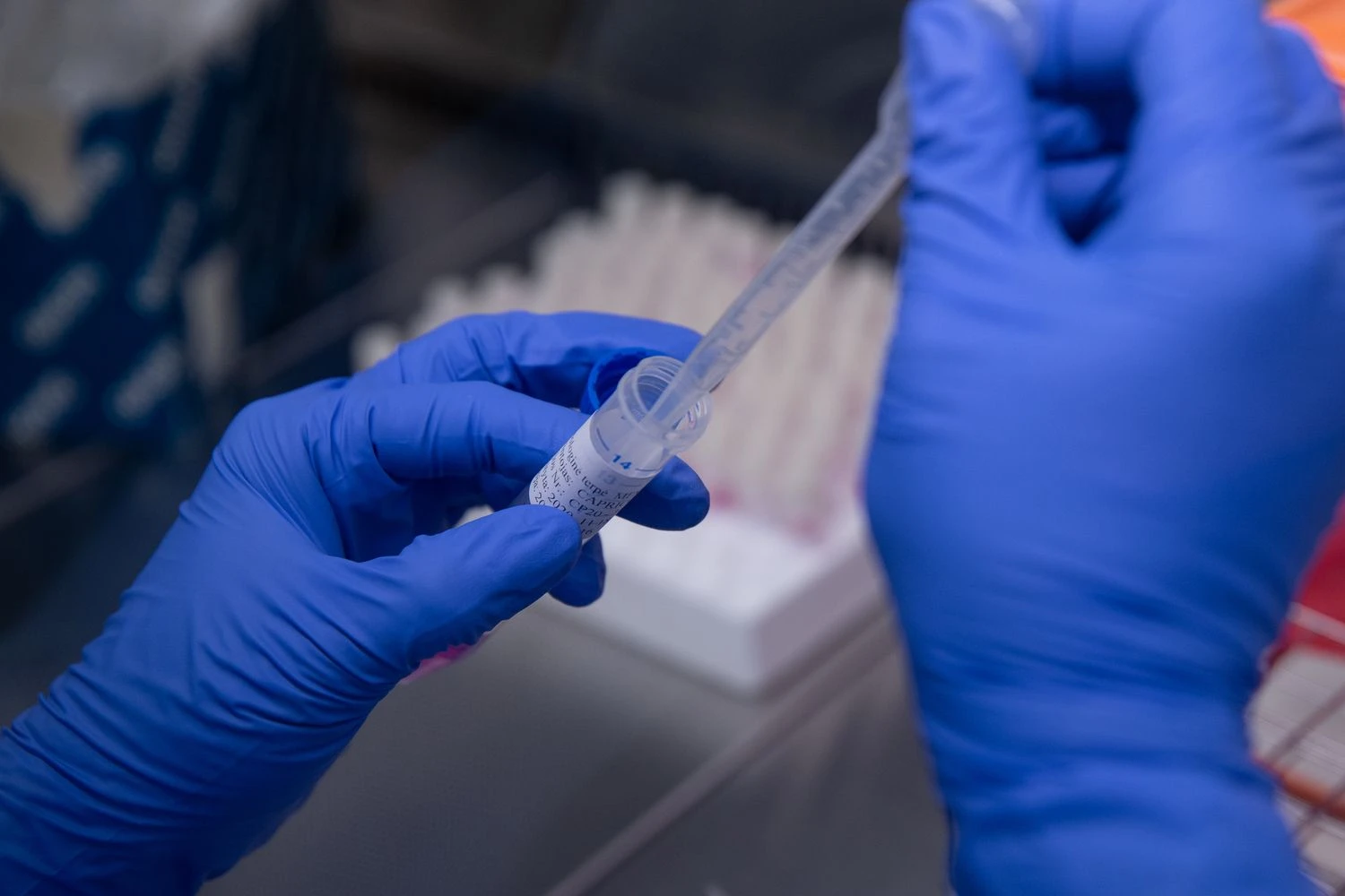 Vladimiro Ivanovo (VŽ) nuotr.