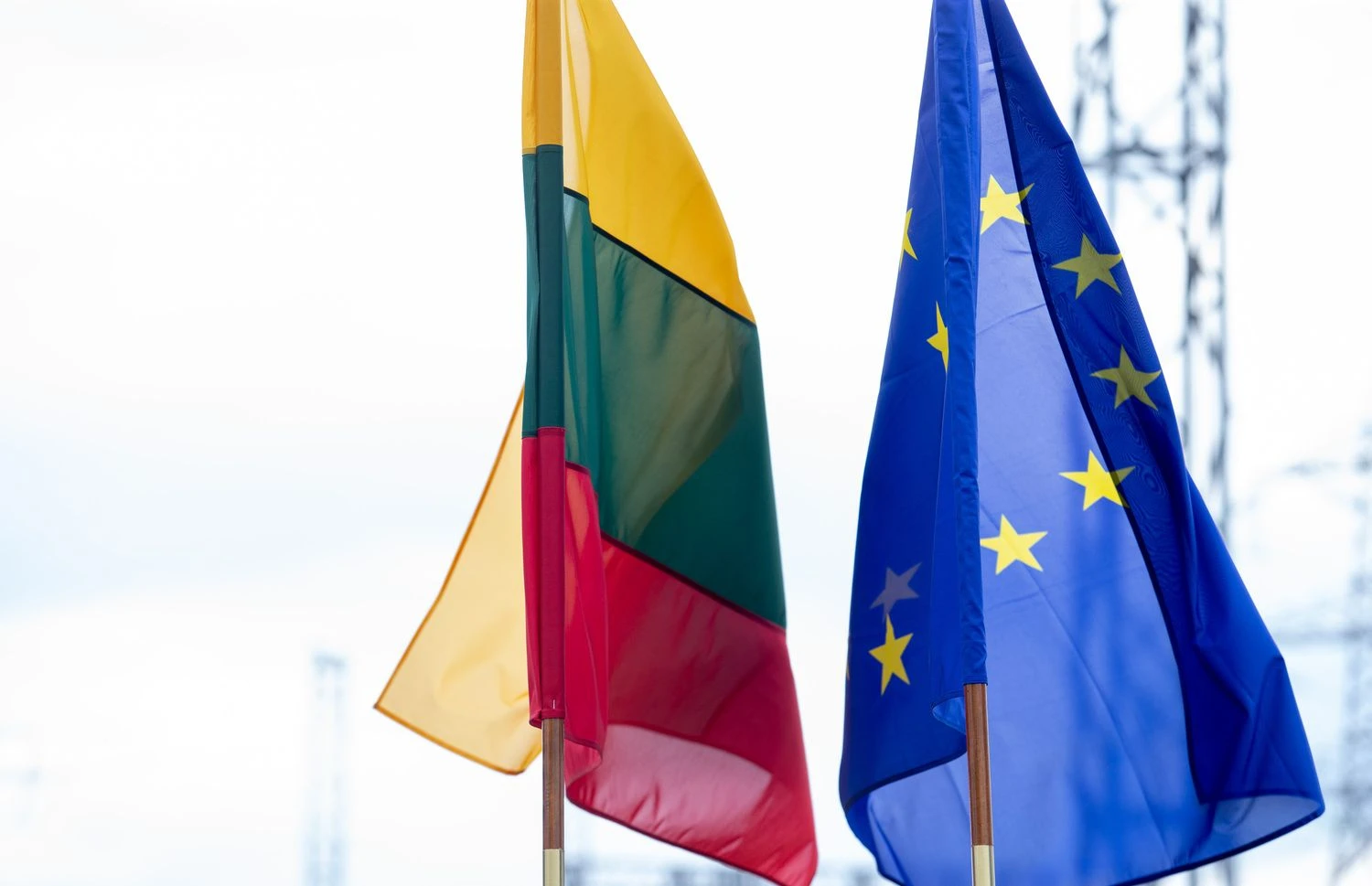 Lietuvos ir Europos sąjungos vėliavos. Juditos Grigelytės (VŽ) nuotr.