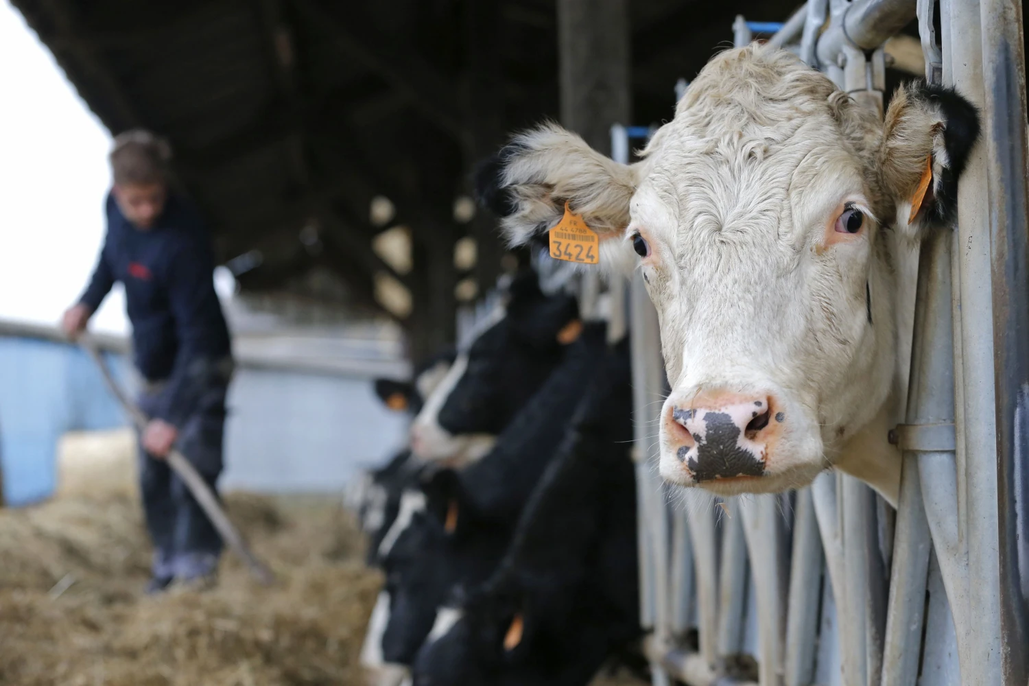 Stephane Mahe („Reuters“ / „Scanpix“) nuotr.