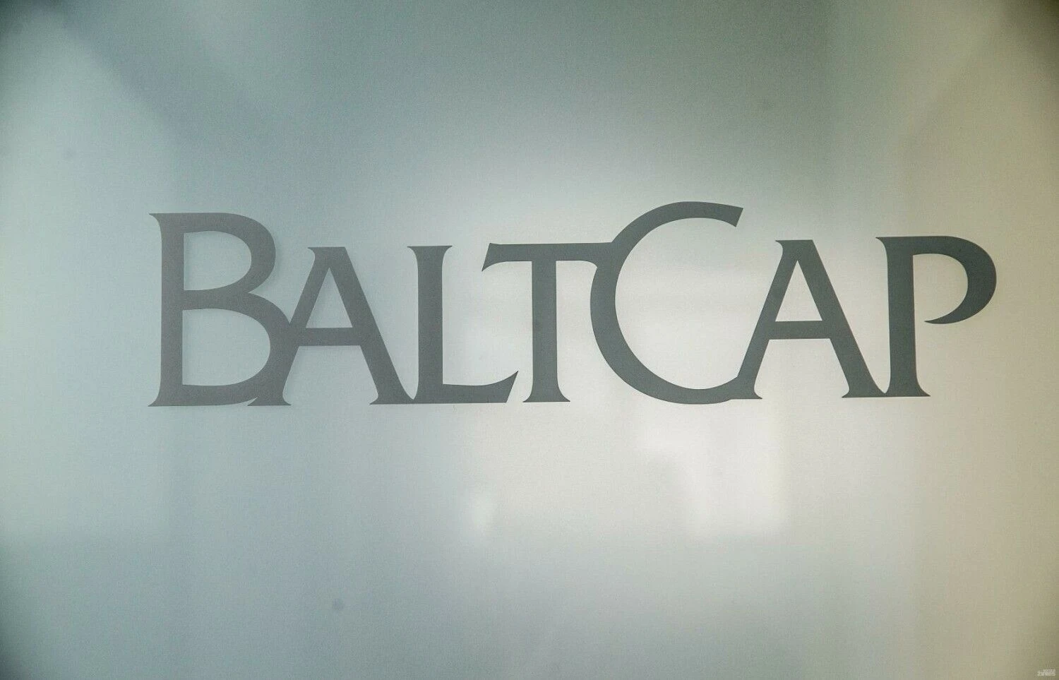 Orivataus ir rizikos kapitalo investicinio fondo „BaltCap“ Iškaba. Juditos Grigelytės (VŽ) nuotr.