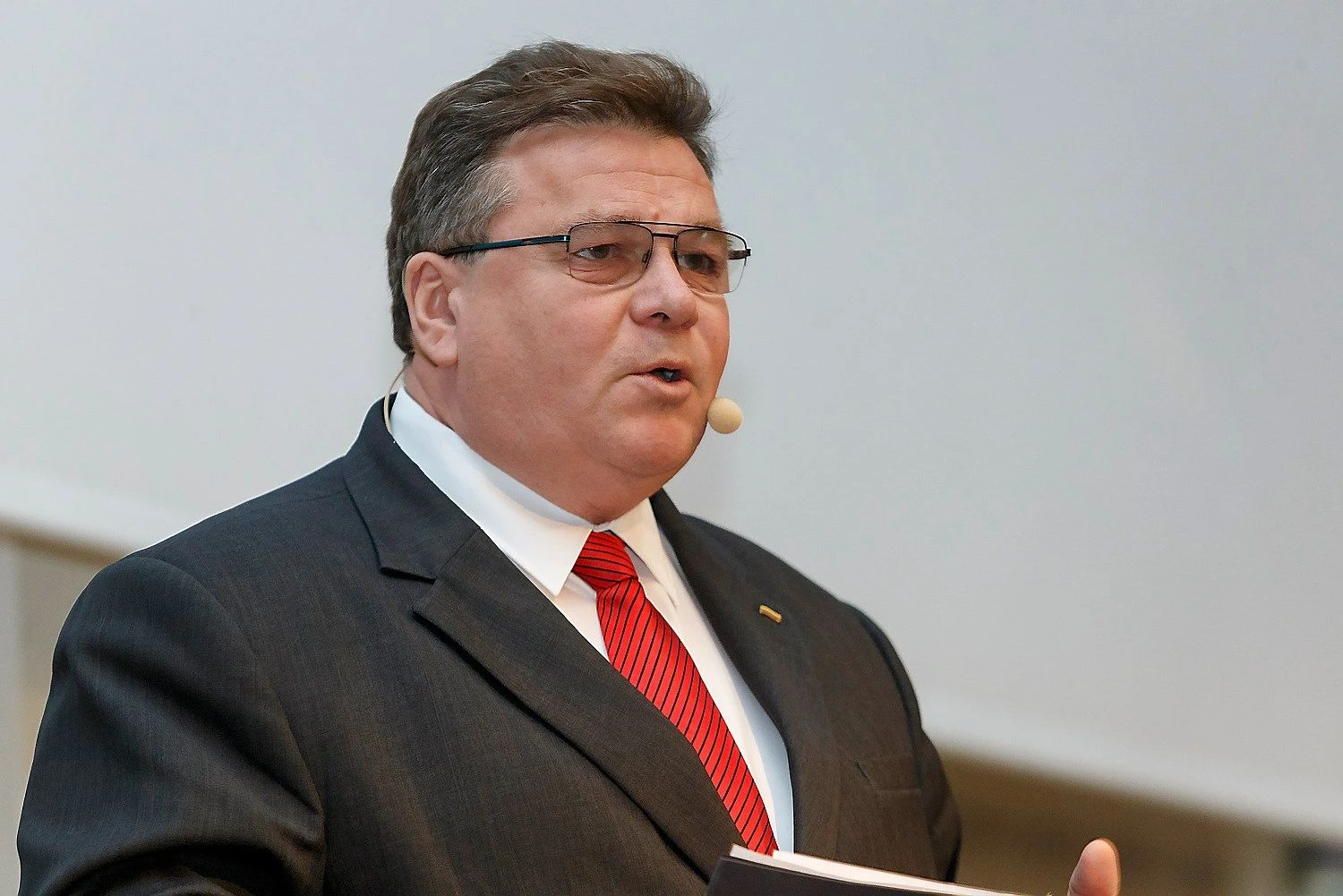 Linas Linkevičius, užsienio reikalų ministras. Vladimiro Ivanovo (VŽ) nuotr.