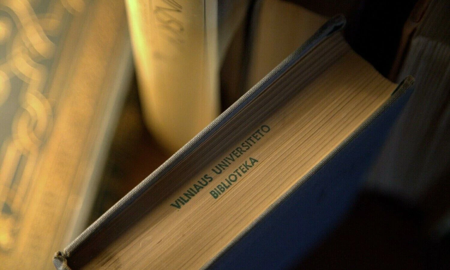 Dalios Kavaliauskaitės nuotr.