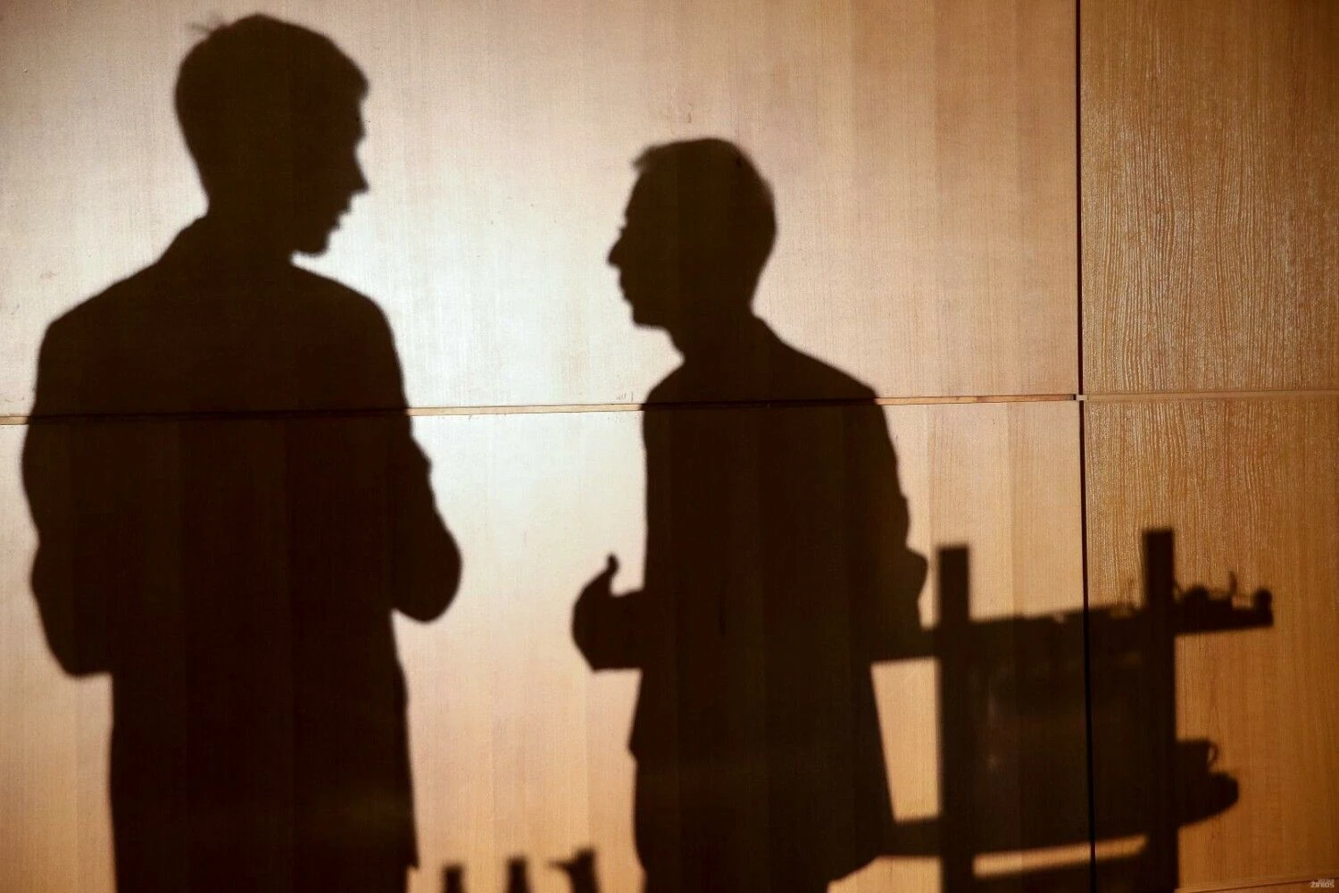 Vladimiro Ivanovo (VŽ) nuotr.