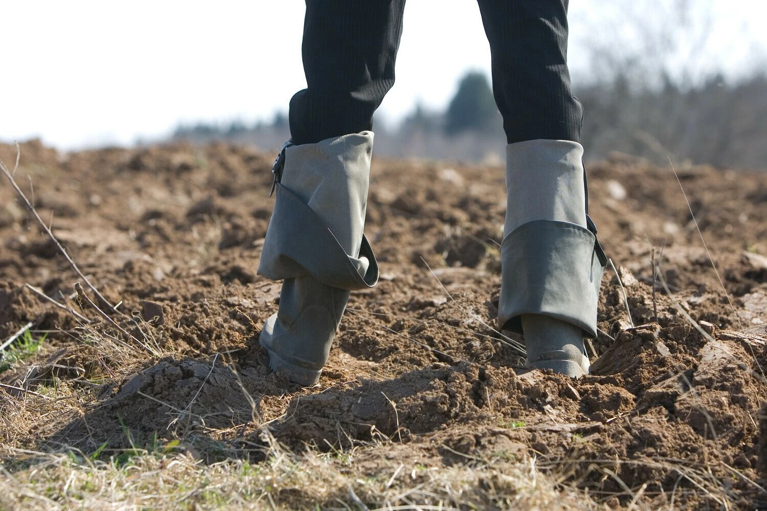 Juditos Grigelytės (VŽ) nuotr.