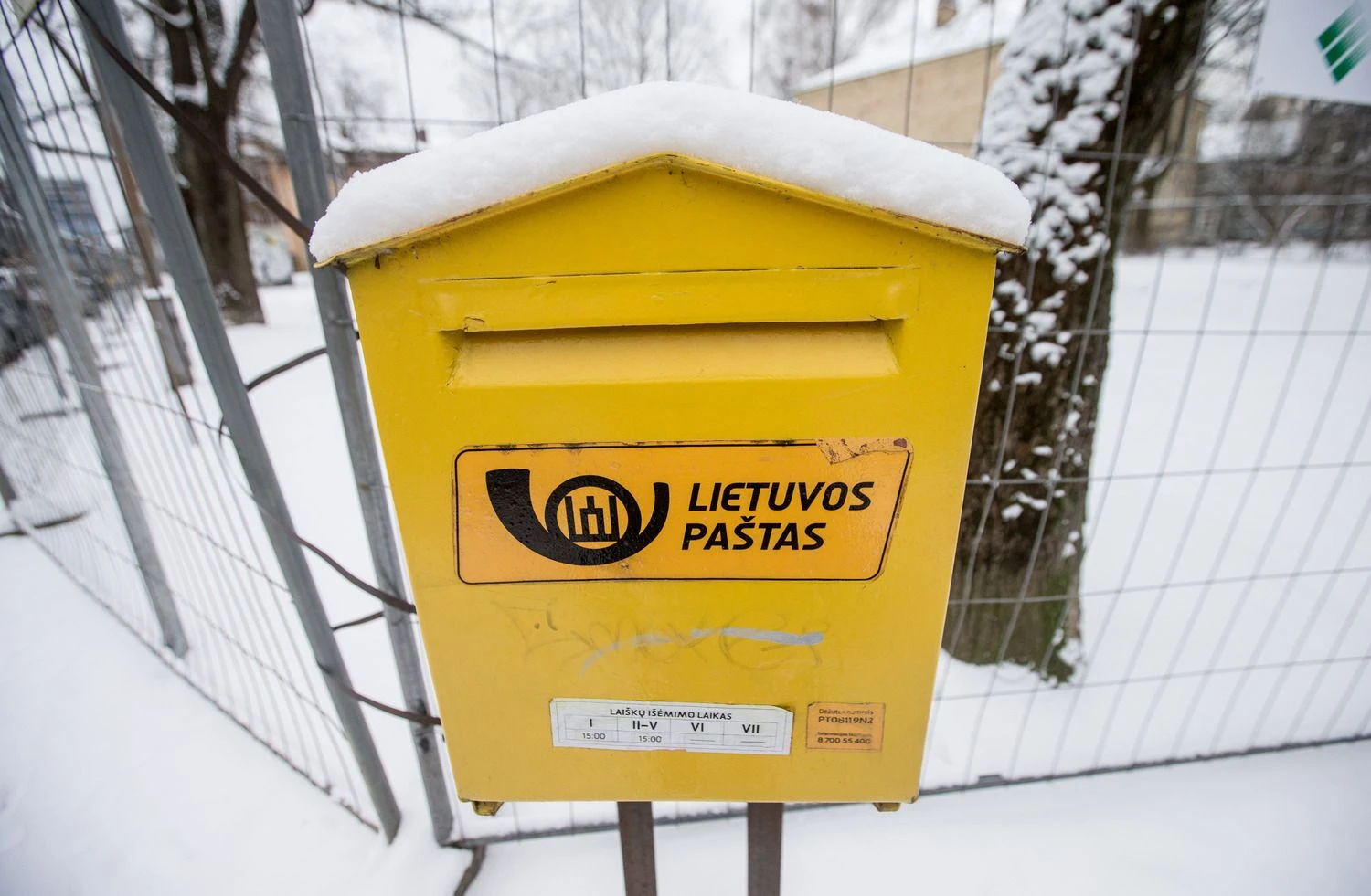 Juditos Grigelytės (VŽ) nuotr.