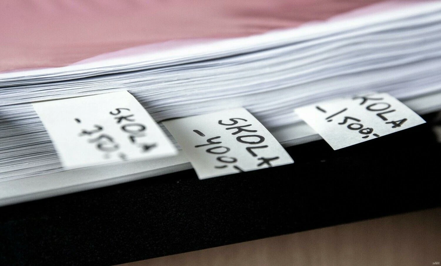 Juditos Grigelytės (VŽ) nuotr.