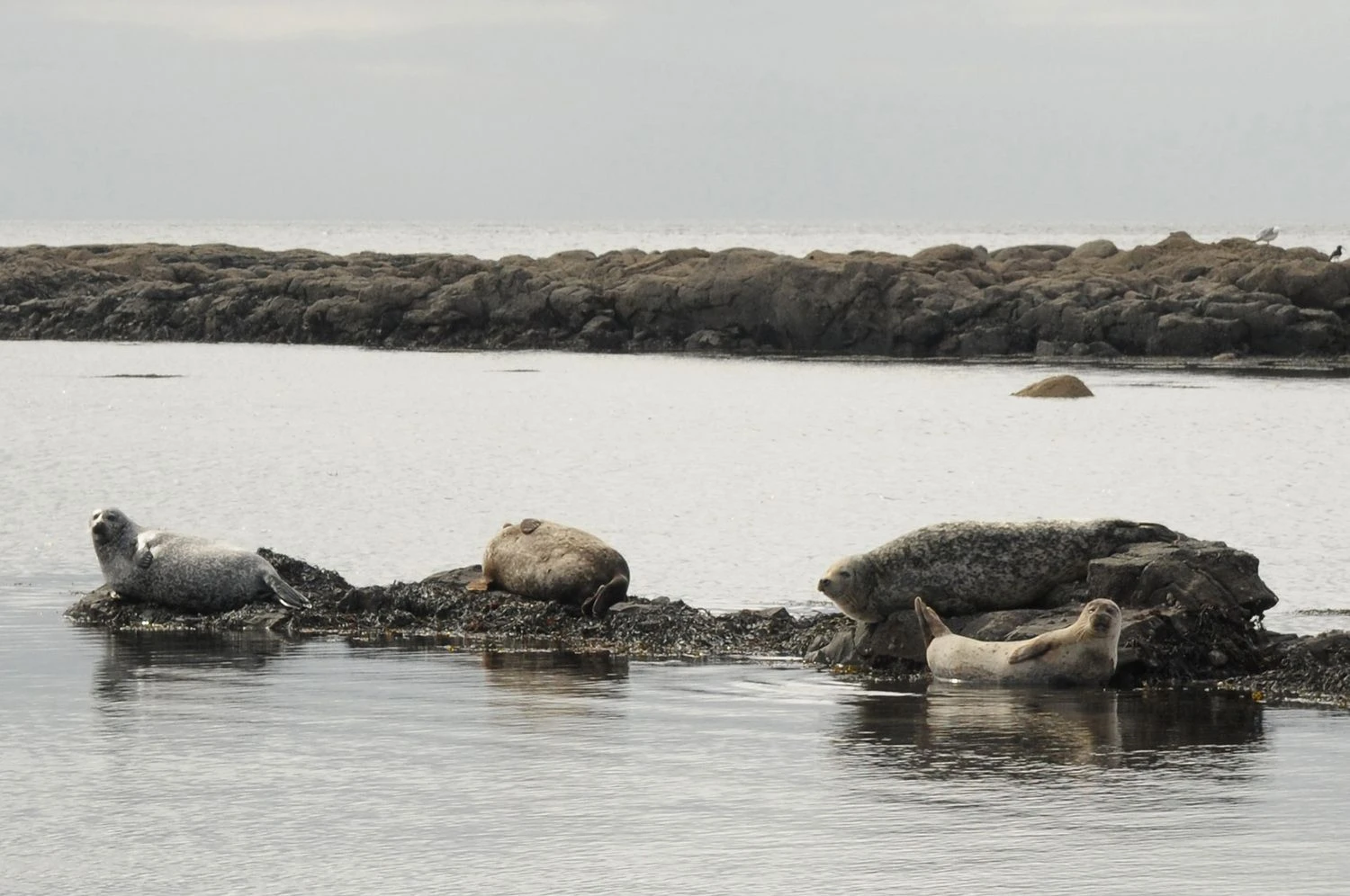 Aušros Barysienės nuotr.