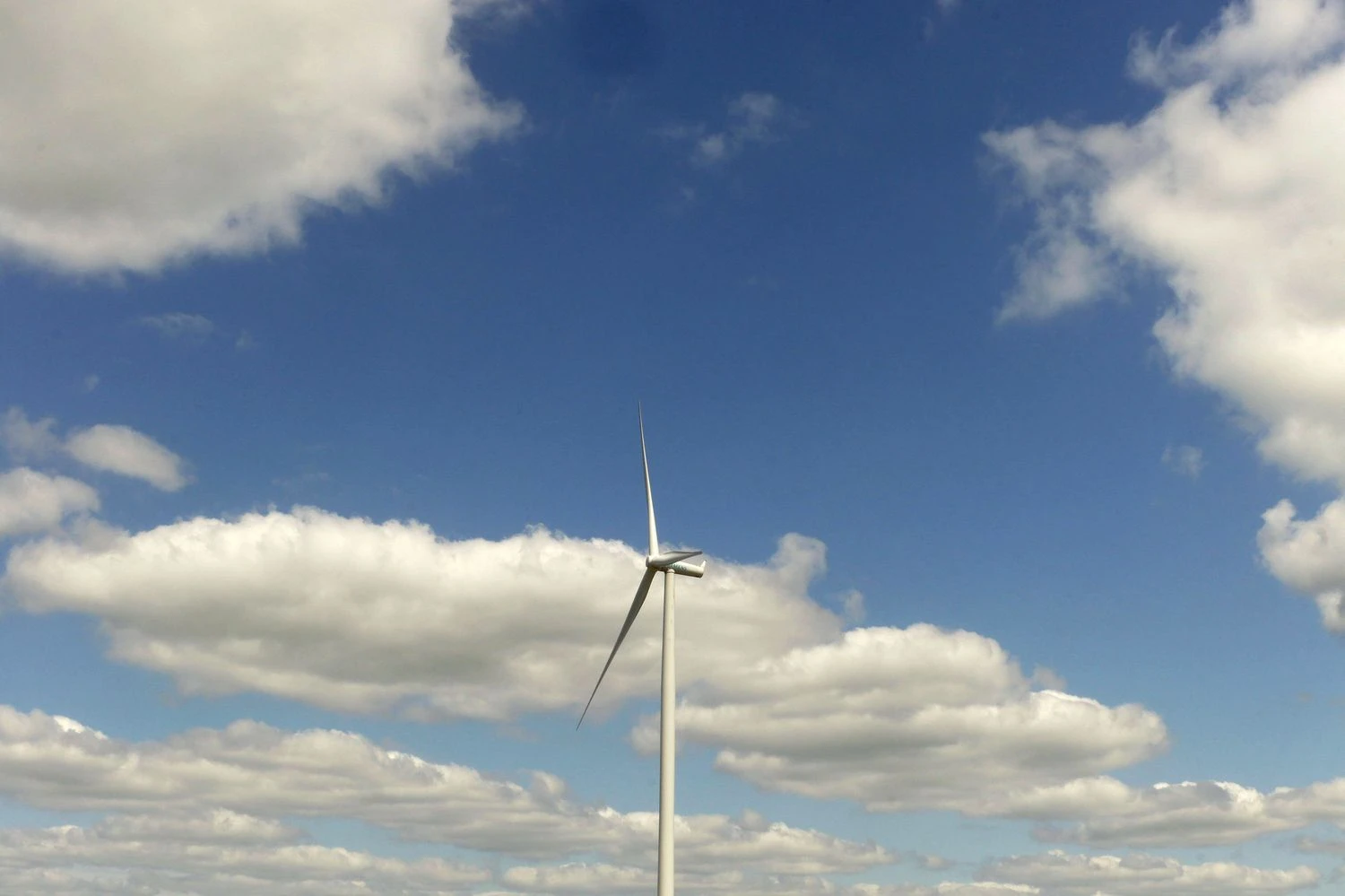 Algimanto Kalvaičio nuotr.