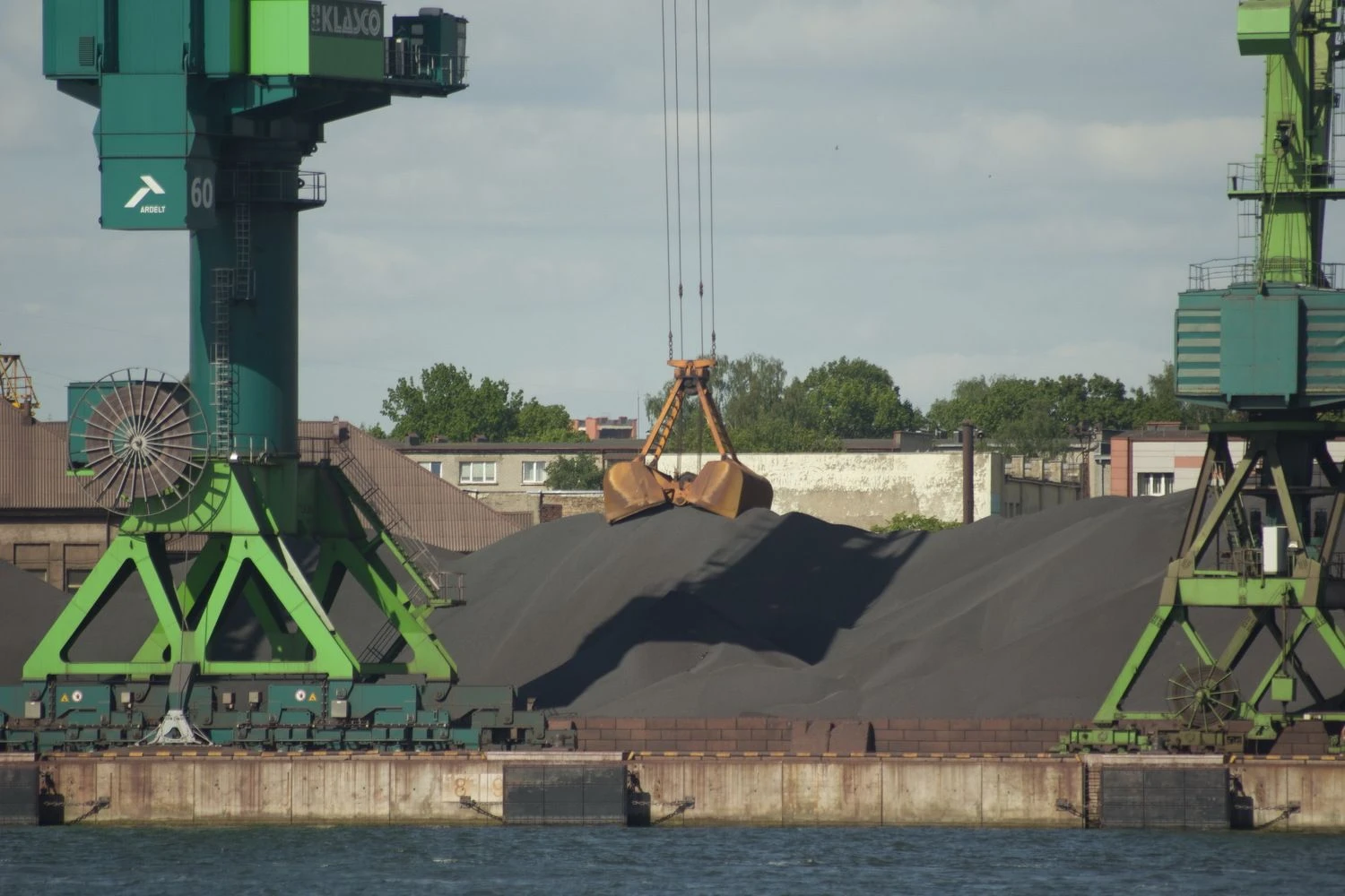 Algimanto Kalvaičio (VŽ) nuotr.