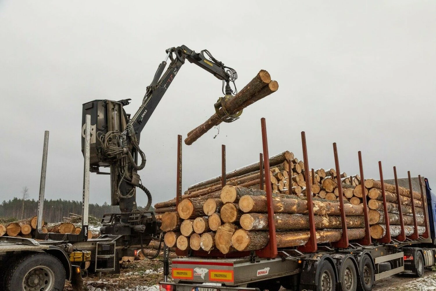Vladimiro Ivanovo (VŽ) nuotr.