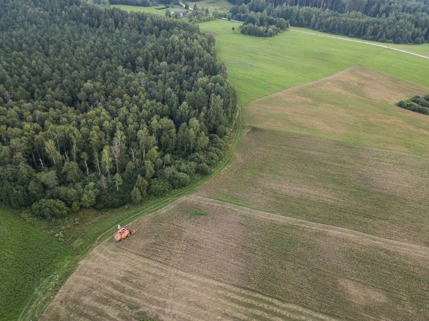 Vladimiro Ivanovo (VŽ) nuotr.