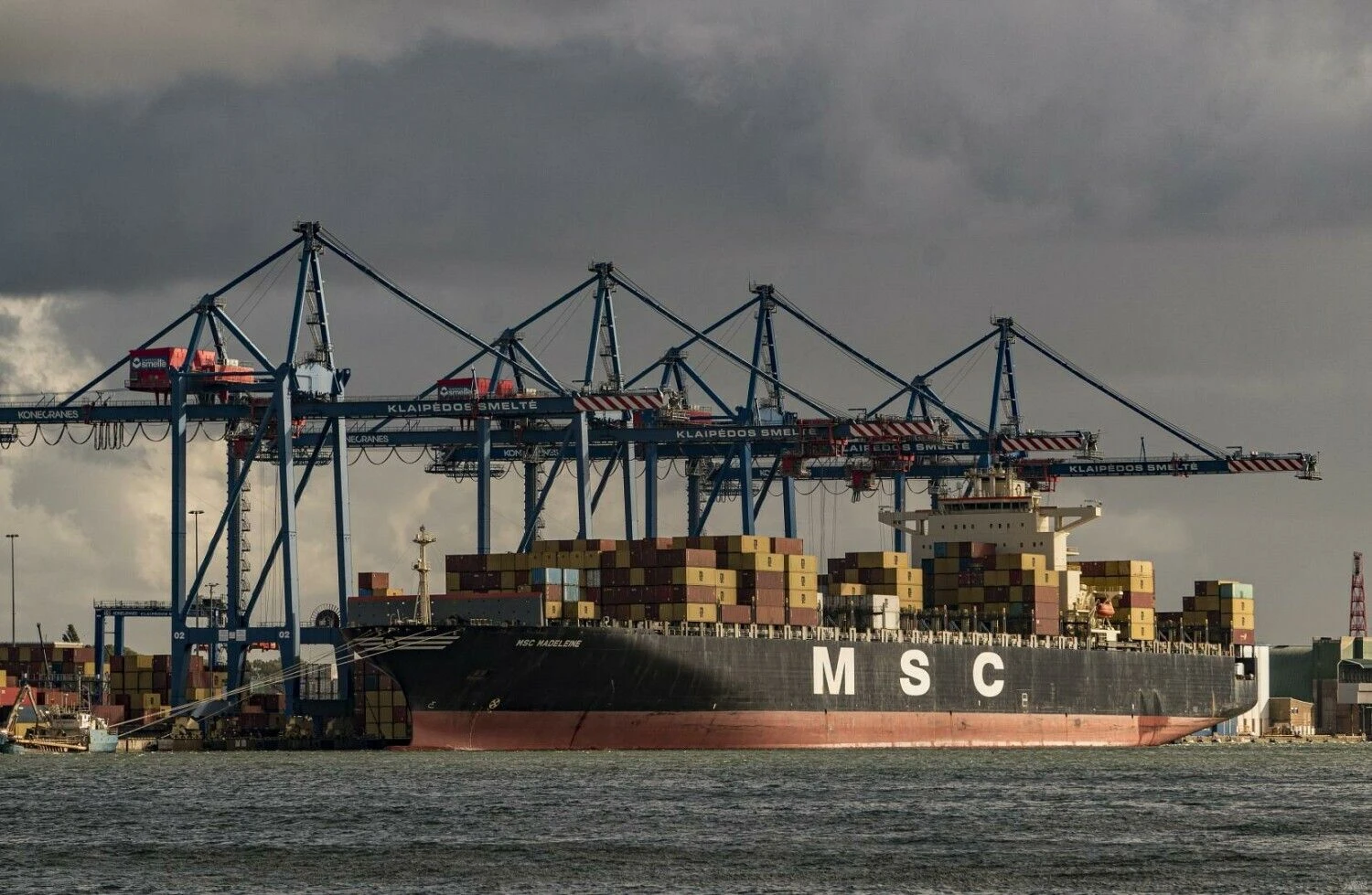 Algimanto Kalvaičio nuotr.