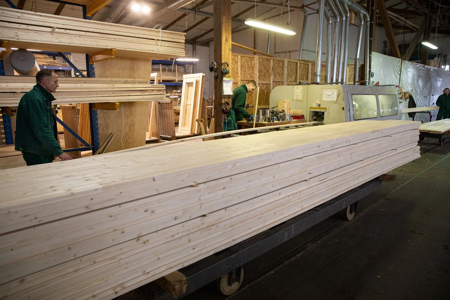 Vladimiro Ivanovo (VŽ) nuotr.