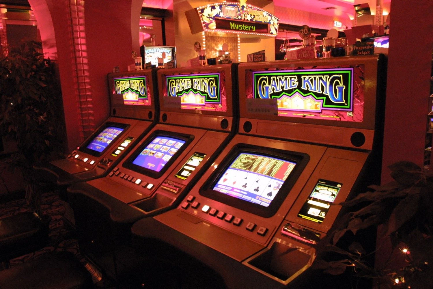 Vladimiro Ivanovo (VŽ) nuotr.