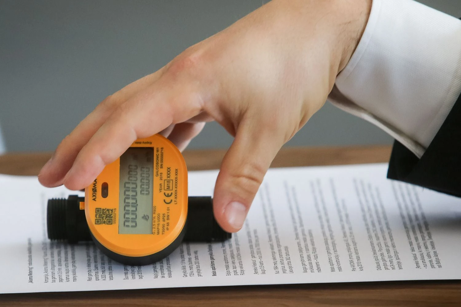 Vladimiro Ivanovo (VŽ) nuotr.