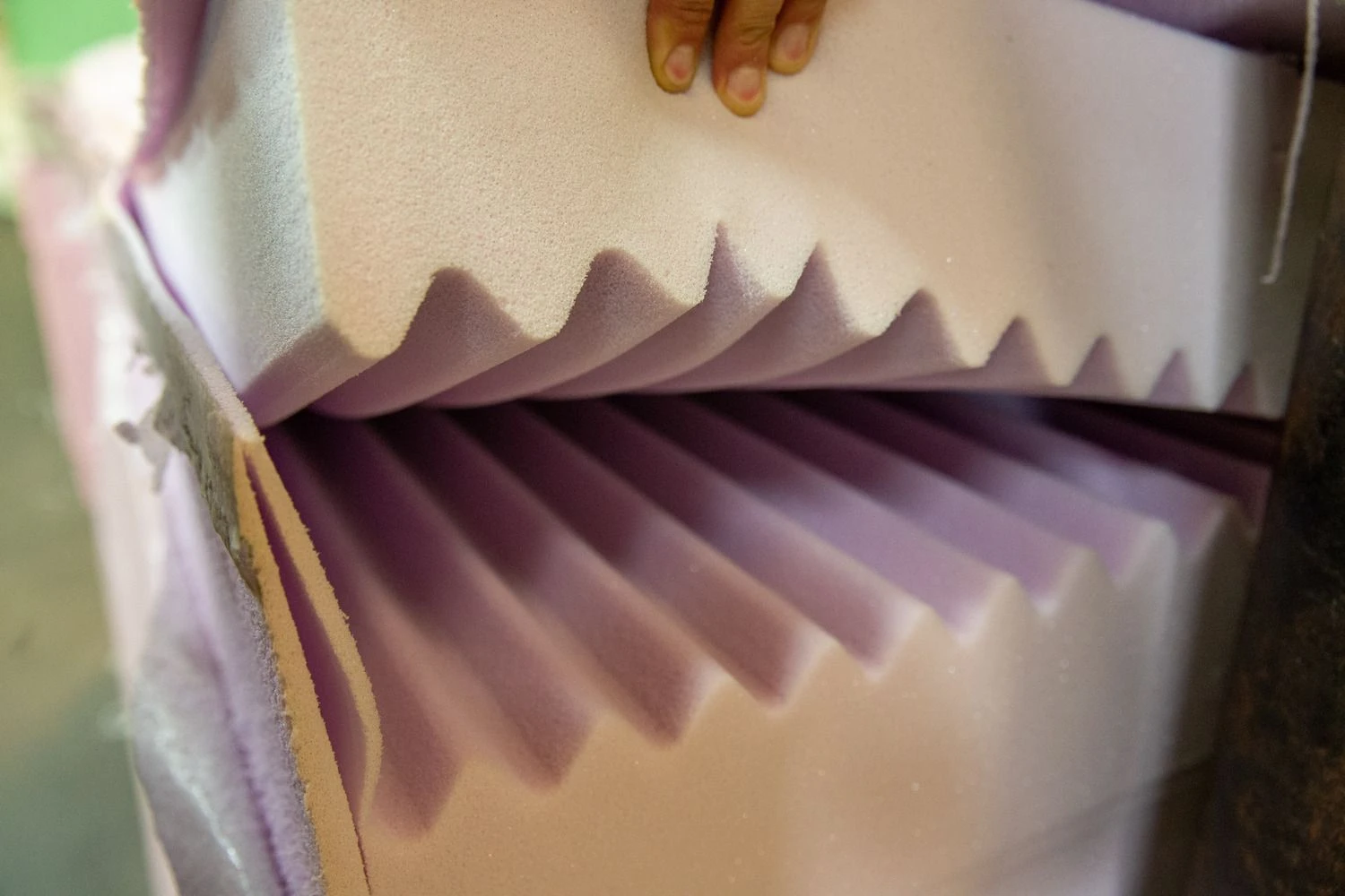 Vladimiro Ivanovo (VŽ) nuotr.