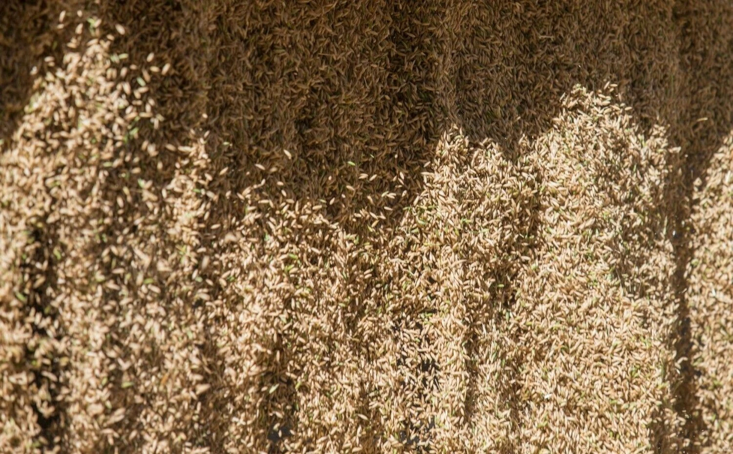 Juditos Grigelytės (VŽ) nuotr.