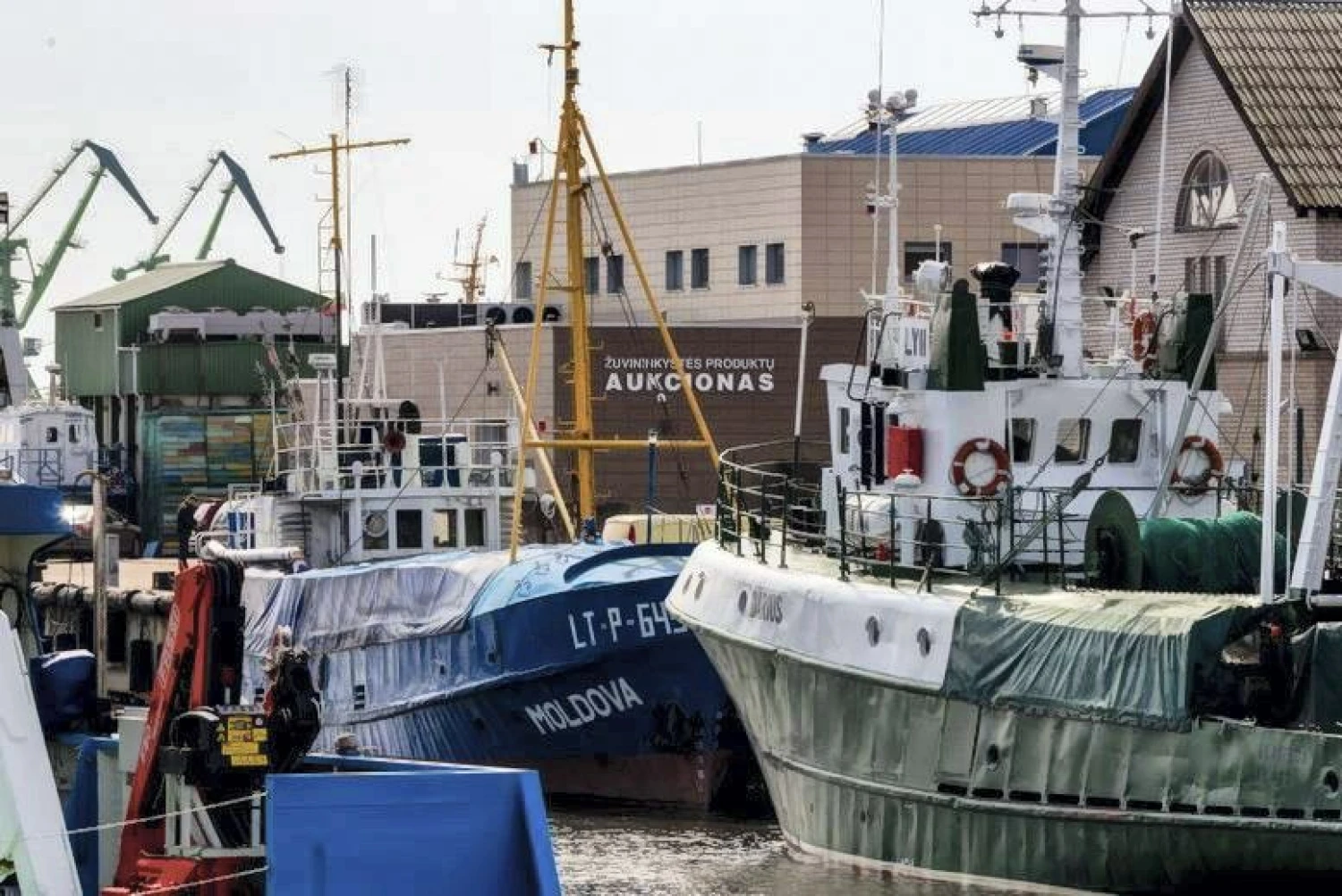 „Klaipėdos žuvininkystės produktų aukciono“ nuotr.