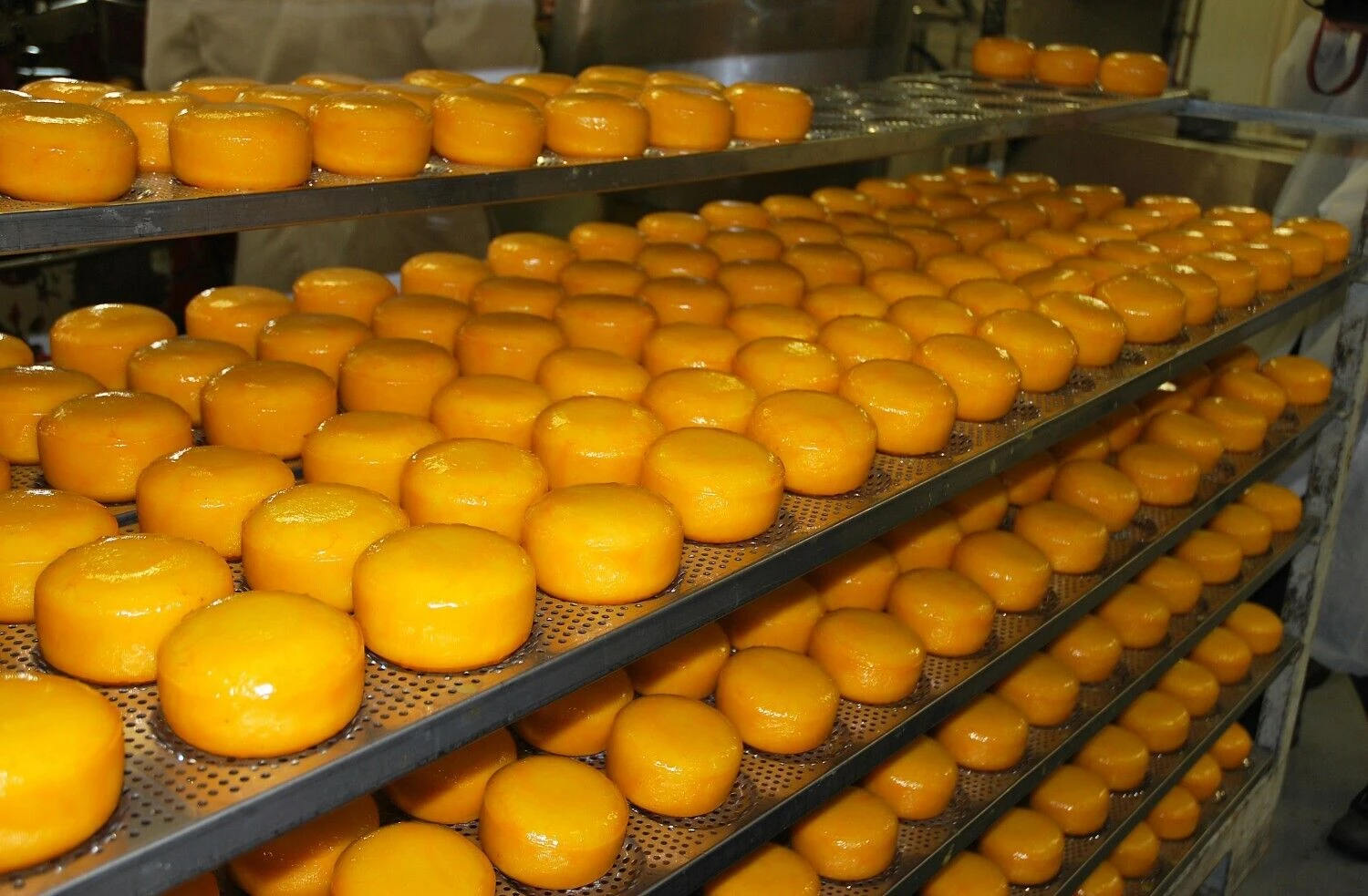 Arūno Milašiaus nuotr.