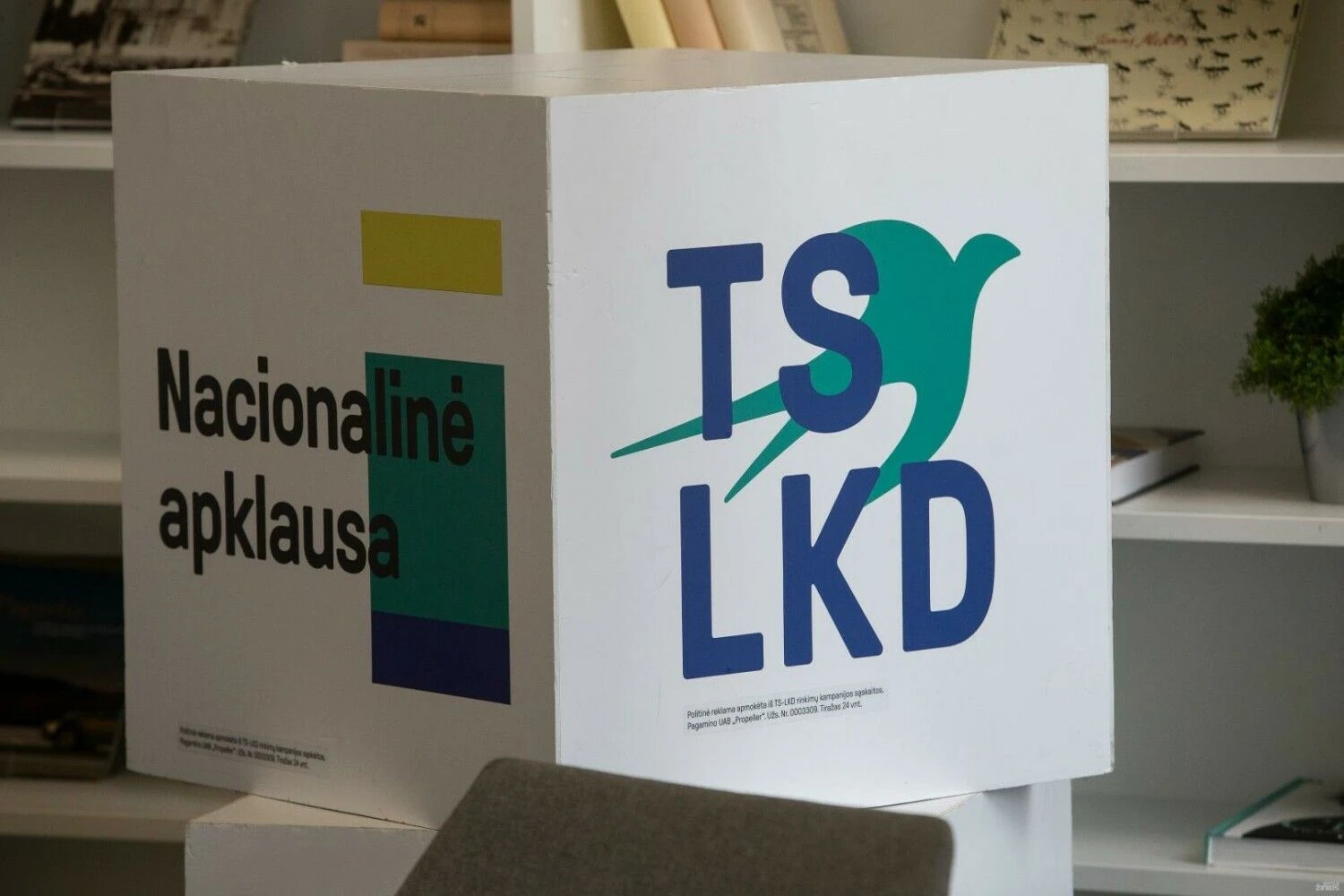 Vladimiro Ivanovo (VŽ) nuotr.