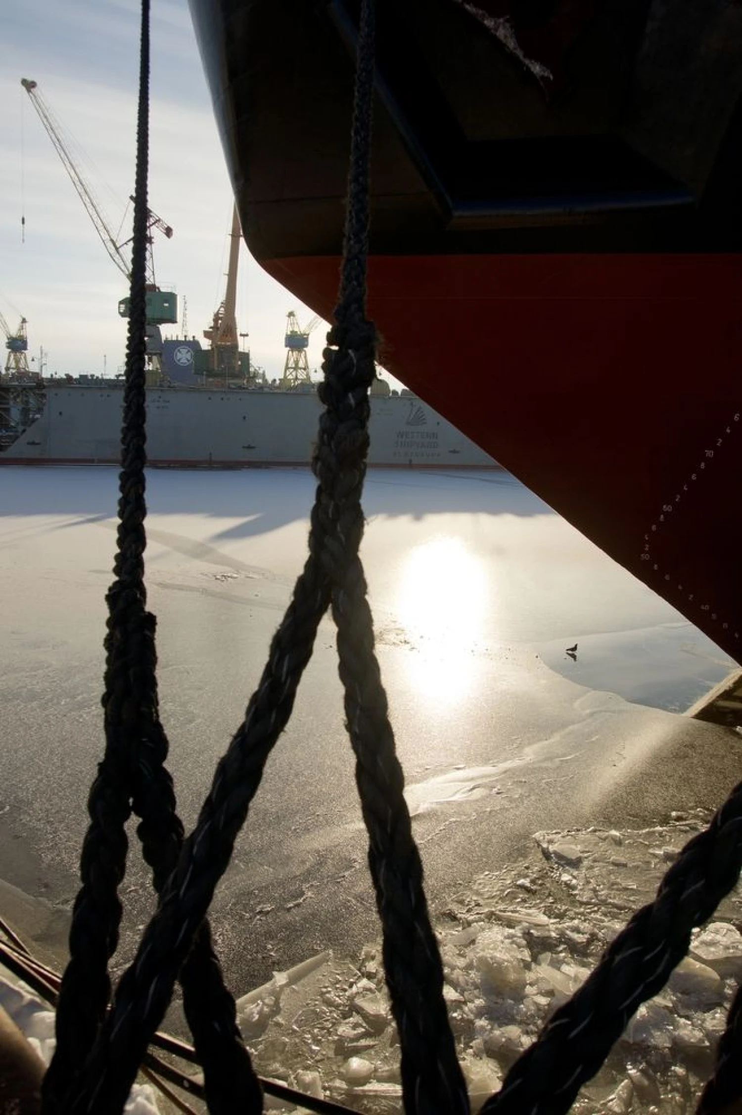 Asociatyvi Algimanto Kalvaičio nuotr.