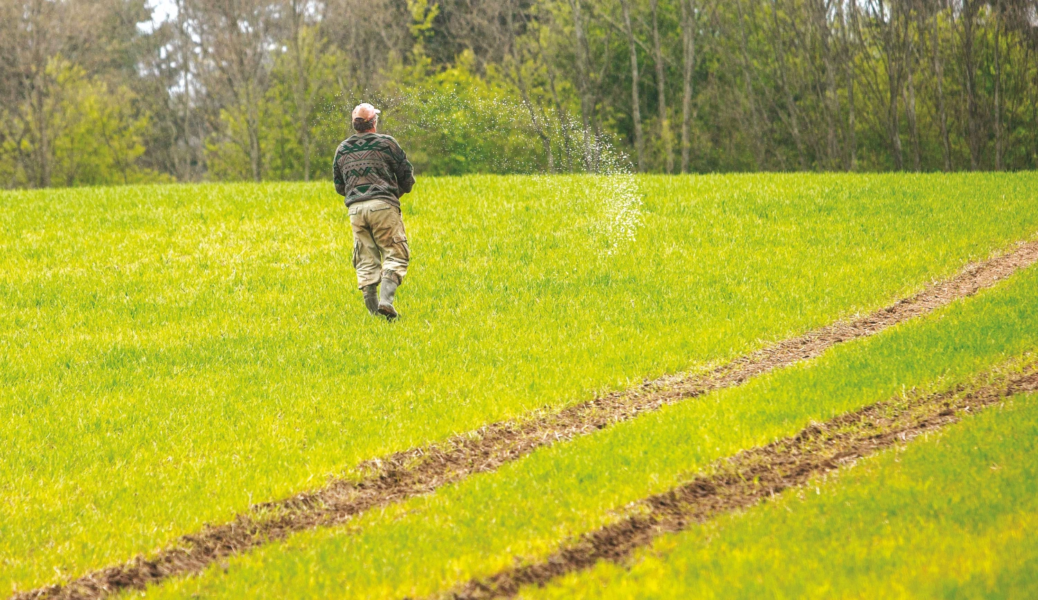 Nekvalifikuotų žmonių įdarbinimą smarkiai palengvino paslaugų kvitai.
Juditos grigelytės (VŽ) nuotr.