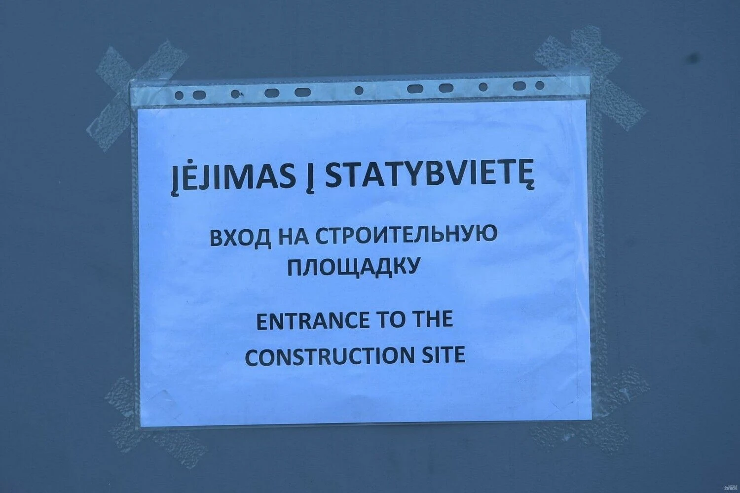 Vladimiro Ivanovo (VŽ) nuotr.