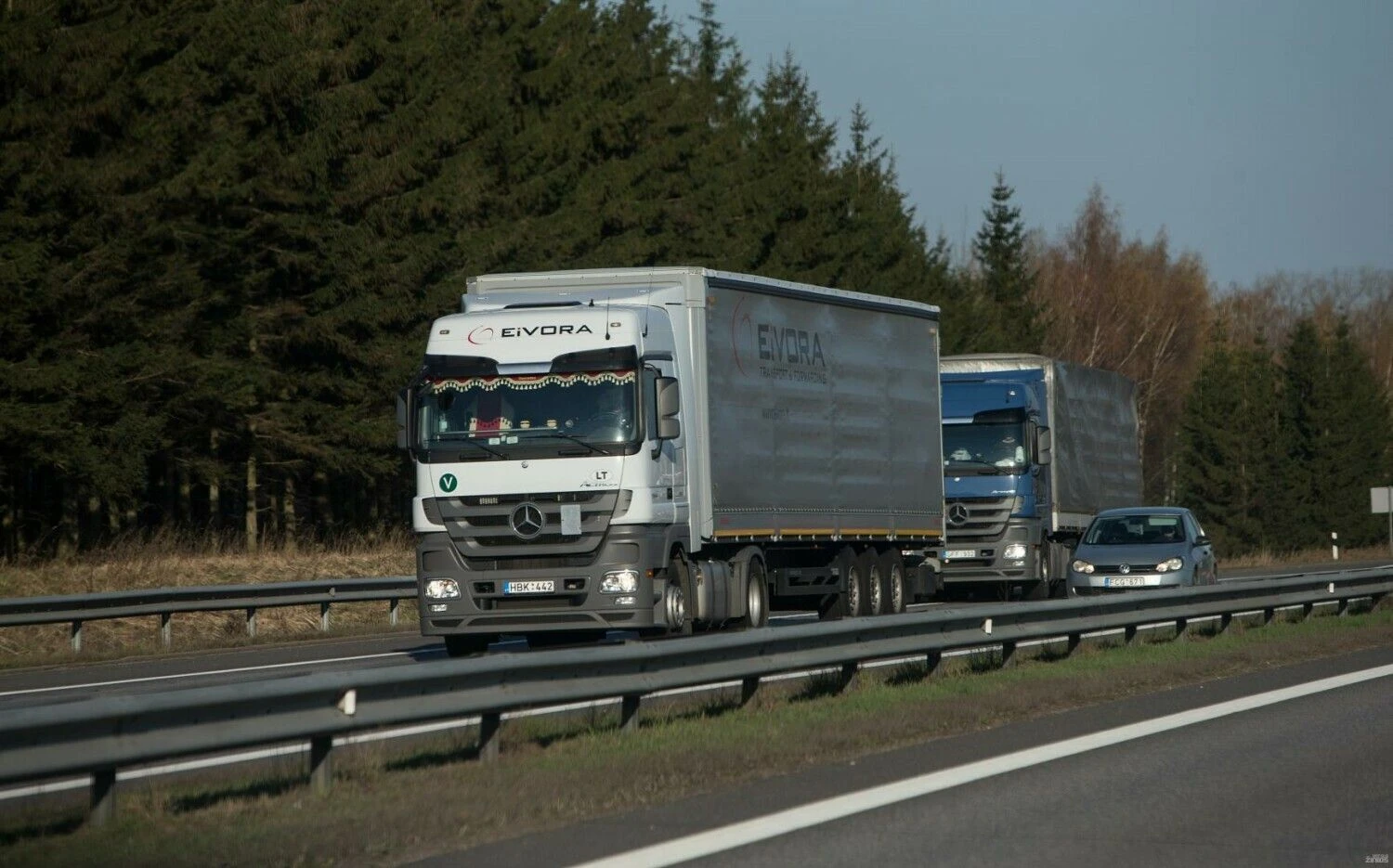 Vilkikai kelyje. Juditos Grigelytės (VŽ) nuotr.