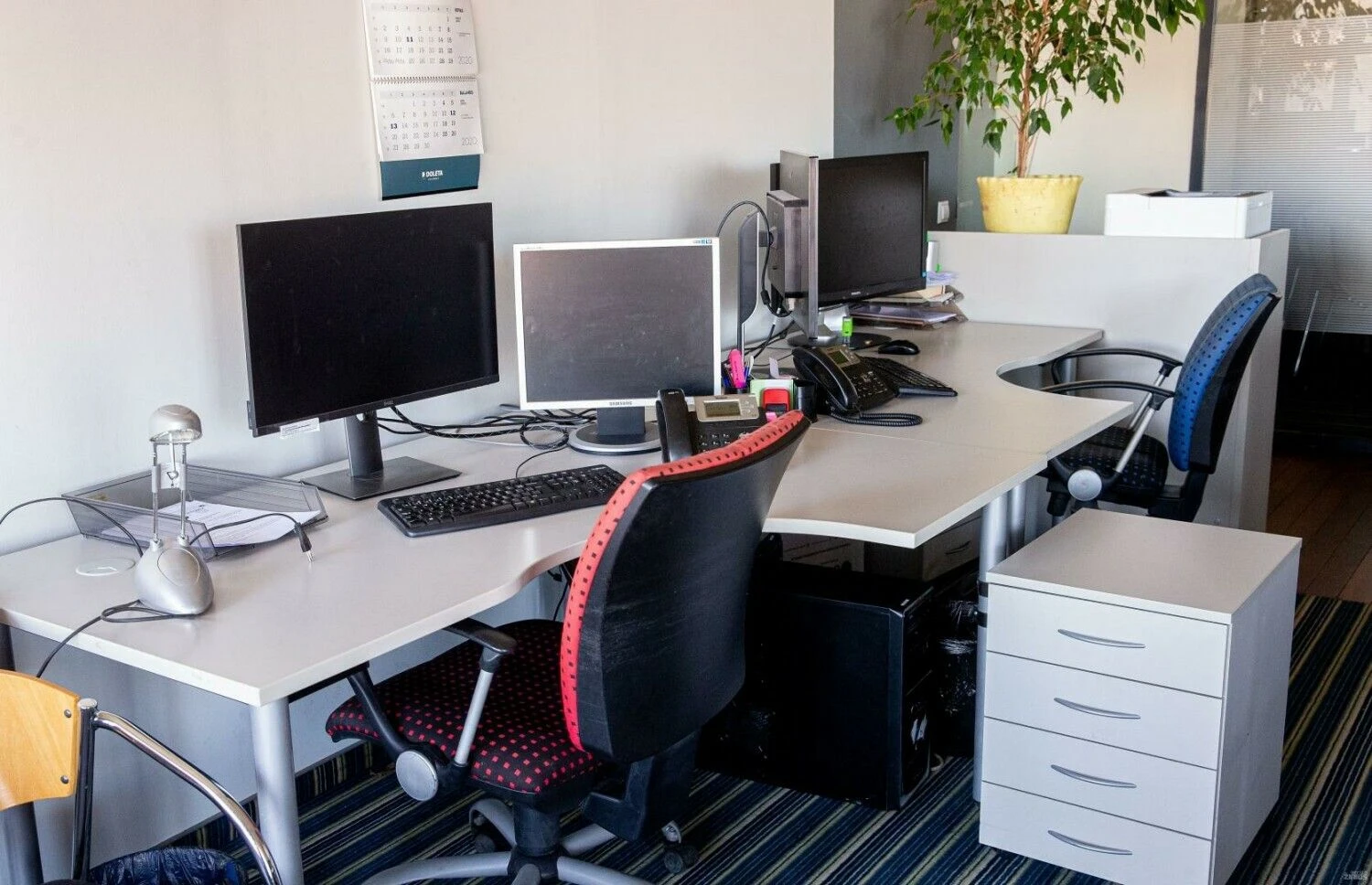 Juditos Grigelytės (VŽ) nuotr.