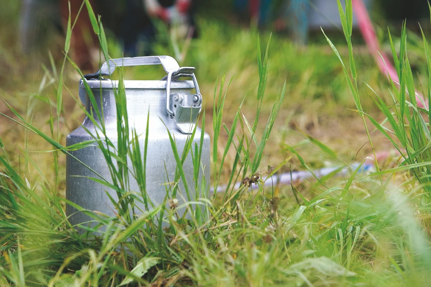 ŽŪM skaičiuoja, kad ūkininkų įmokos į fondą turėtų siekti apie 3 Eur nuo parduotos pieno tonos. Juditos Grigelytės (VŽ) nuotr.
