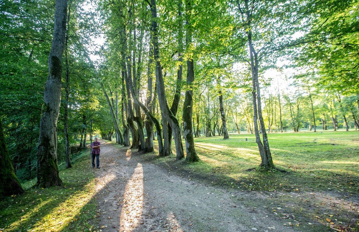 Mykolo Oginskio dvaro komplekso parkas Plungėje. Juditos Grigelytės (VŽ) nuotr.