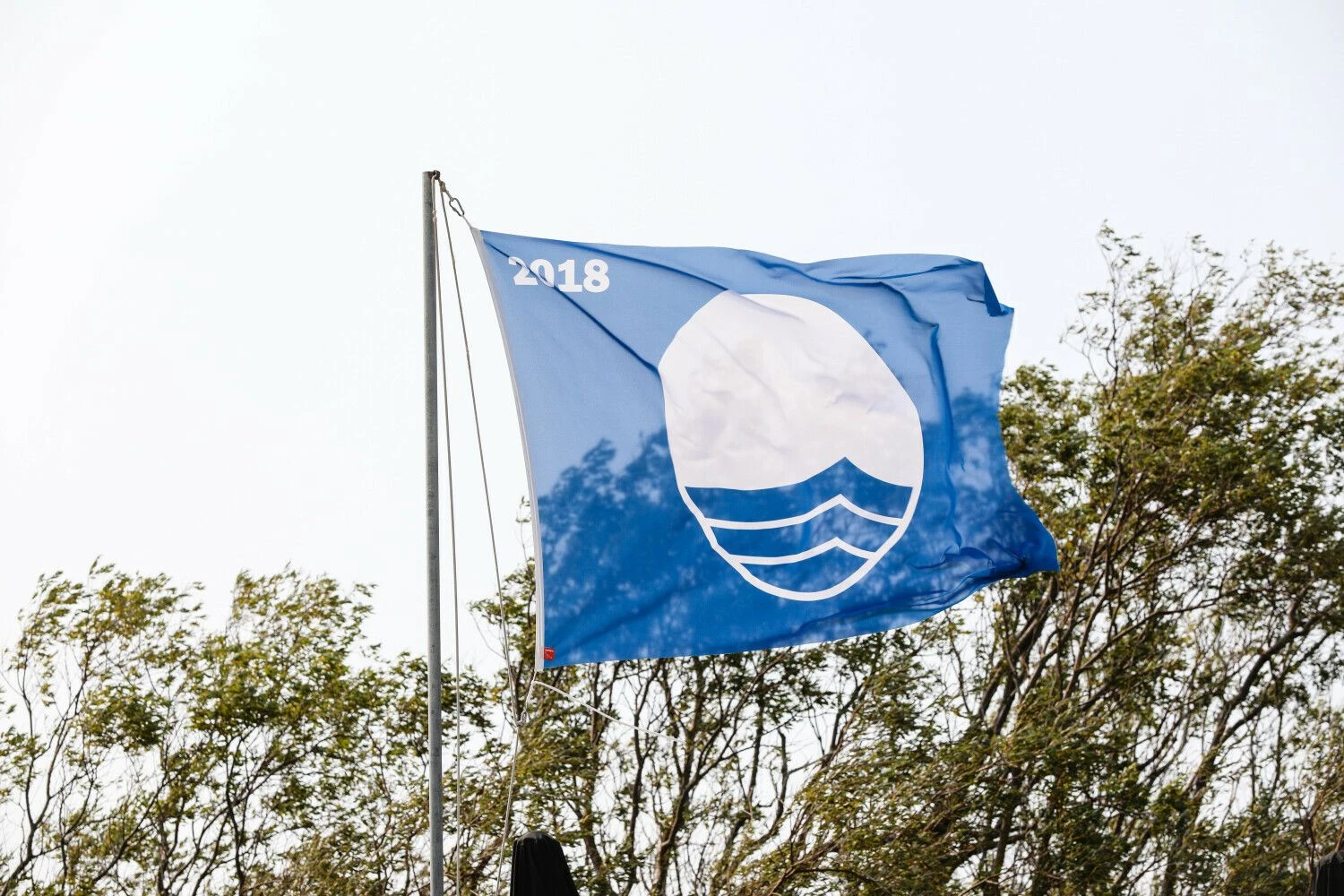 Teodoro Biliūno (Fotobanko / BNS) nuotr. 2018 m.
