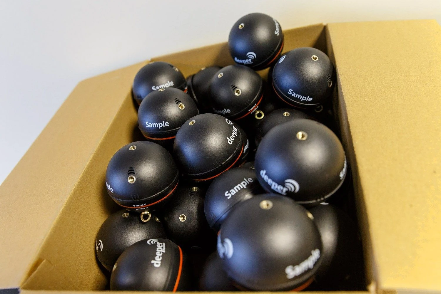 Vladimiro Ivanovo (VŽ) nuotr.