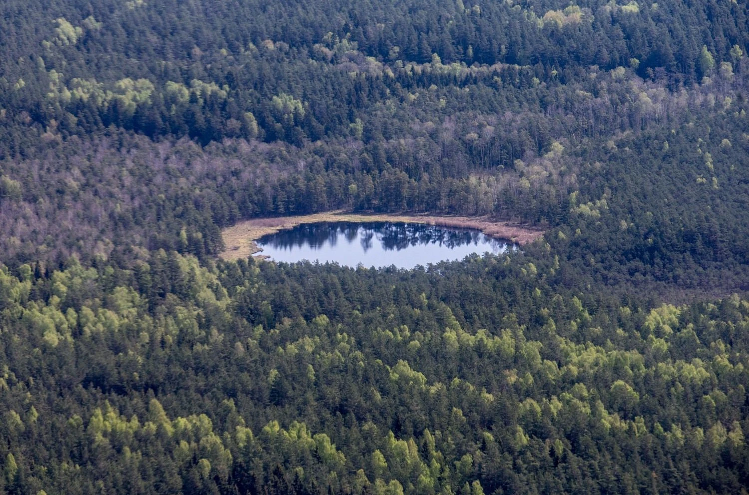 Juditos Grigelytės (VŽ) nuotr.