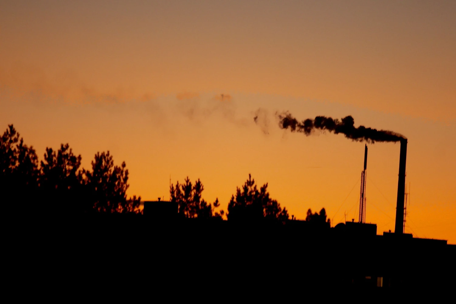 Vladimiro Ivanovo (VŽ) nuotr.